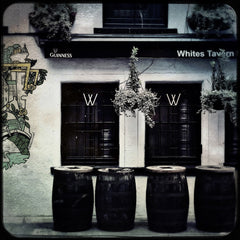 Belfast - White's Tavern