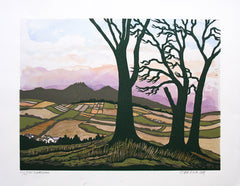 Linocut Print - From Castlewellan, 2009