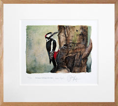 The Lost Spells - Great Spotted Woodpecker