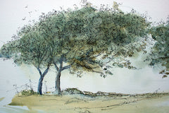 Original - Tyrella Trees