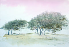 Original - Tyrella Trees