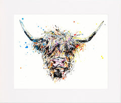 Print Ltd Edition Animals - Angus Unframed