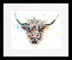 Print Ltd Edition Animals - Angus Black Wide Box Frame