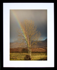 Other - At The End Of The Rainbow Black Frame