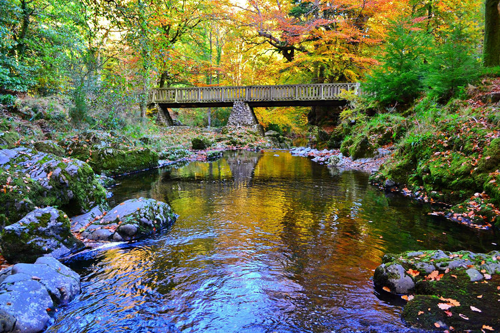 Co Down - Mournes - Tollymore Forest Park - Unframed