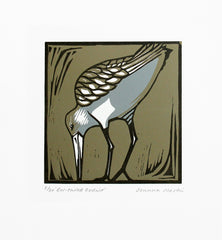 Lino Print - Bar Tailed Godwit Unframed