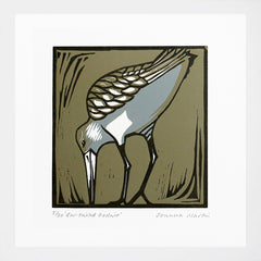 Lino Print - Bar Tailed Godwit White Frame