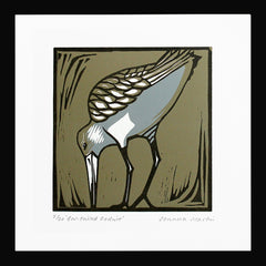 Lino Print - Bar Tailed Godwit Black Frame