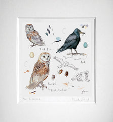 Sketchbook - Barn Owl and Rook Unframed