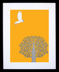 Barn Owl (Orange) Framed