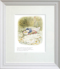 Jemima Was Surprised To Find Such A Quantity Of Feathers Framed