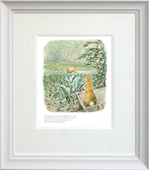 Peter Rabbit Framed