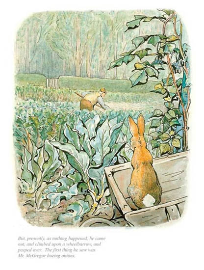 Peter Rabbit