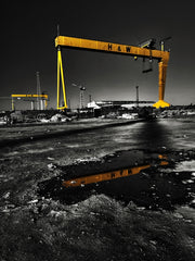 Belfast - Shipyard Cranes Unframed 40x50