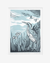 Lino Print - Bittern, Inner Hebrides Unframed