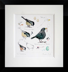 Sketchbook - Blackbird and Coal Tit Framed