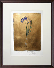 The Lost Words - Bluebell Premium Edition Artist Proof Brown Scoop Frame