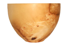 Bowl - Sweet Chestnut Bowl 14B