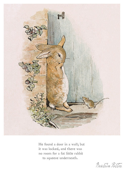 Peter Rabbit - He Found A Door