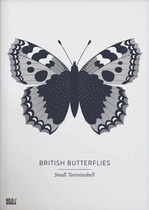 Animals - British Butterflies Small Tortoiseshell in Slate Unframed