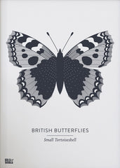 Animals - British Butterflies Small Tortoiseshell in Slate Unframed