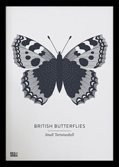 Animals - British Butterflies Small Tortoiseshell in Slate Black frame