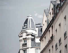 Paris In Grey - Building With Dome Unframed