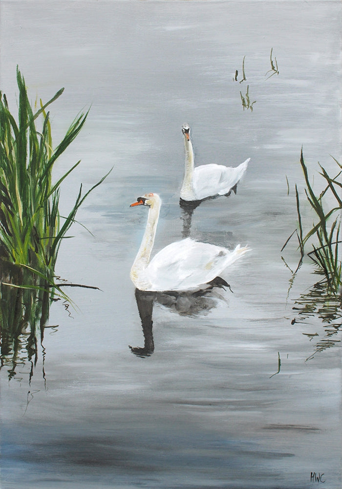 Castle Leslie Swans