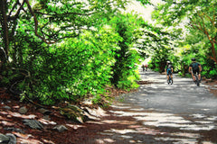 Castlewellan Forest Park