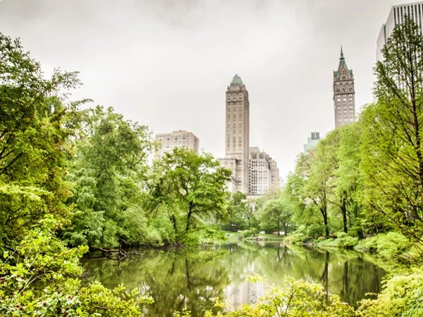 Central Park New York Unframed