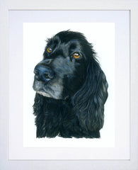 Toby Cocker Spaniel White Frame