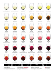 Color Of Wine Unframed