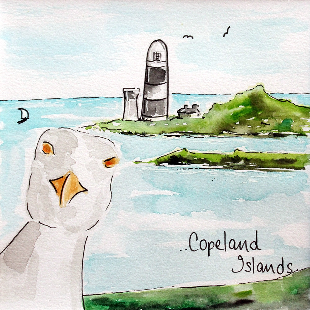 Copeland Islands 