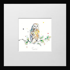 Print Open Edition Animals - Curio-12 x 12-Small Flat Black Frame