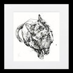 Print Ltd Edition Animals - Curiosity Frame Black