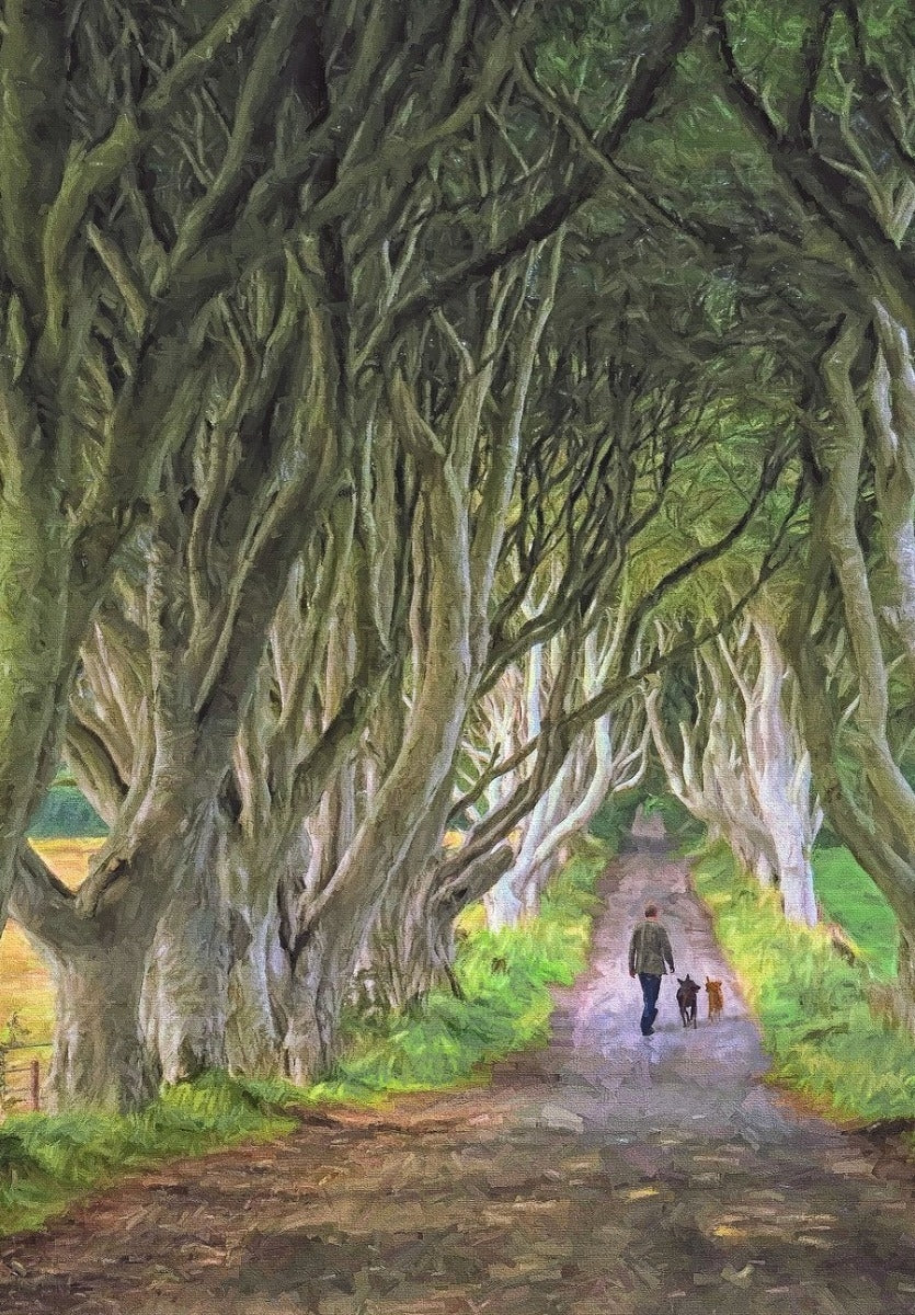 Co Antrim - The Dark Hedges