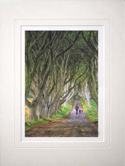 Co Antrim - The Dark Hedges Unframed 40X30