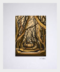 Dark Hedges, Ballymoney (FW) 16x11.5