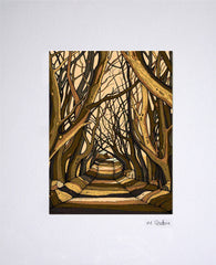 Dark Hedges, Ballymoney (UF) 16x11.5