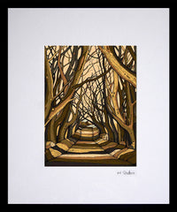 Dark Hedges, Ballymoney (F) 16x11.5