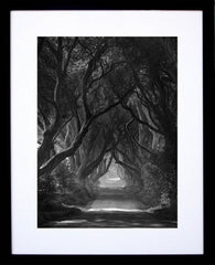 Dark Hedges Mist Clearing Mono Black Frame 30X40