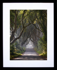 Dark Hedges Mist Clearing Colour Black Frame 30x40