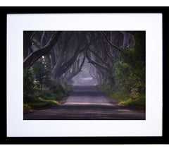 Dark Hedges Morning Mist Black Frame 30 x 40