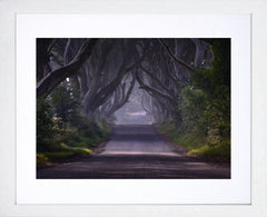 Co Antrim - Dark Hedges Morning Mist White Box Frame 40x30