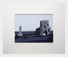 Devenish Island-16 x 11.5-Small Flat White Frame