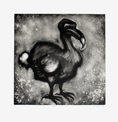 Dodo Unframed