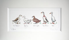 Ducks Unframed