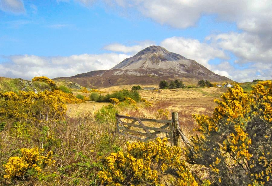 Co Donegal - Errigal from Dunlewy Donegal