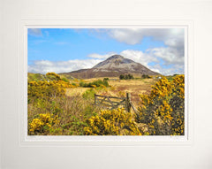 Co Donegal - Errigal from Dunlewy Donegal Unframed 60x47.5