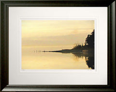 Co Down - Evening Gold Strangford Near Mount Stewart Frame Black Moulded 60x47.5